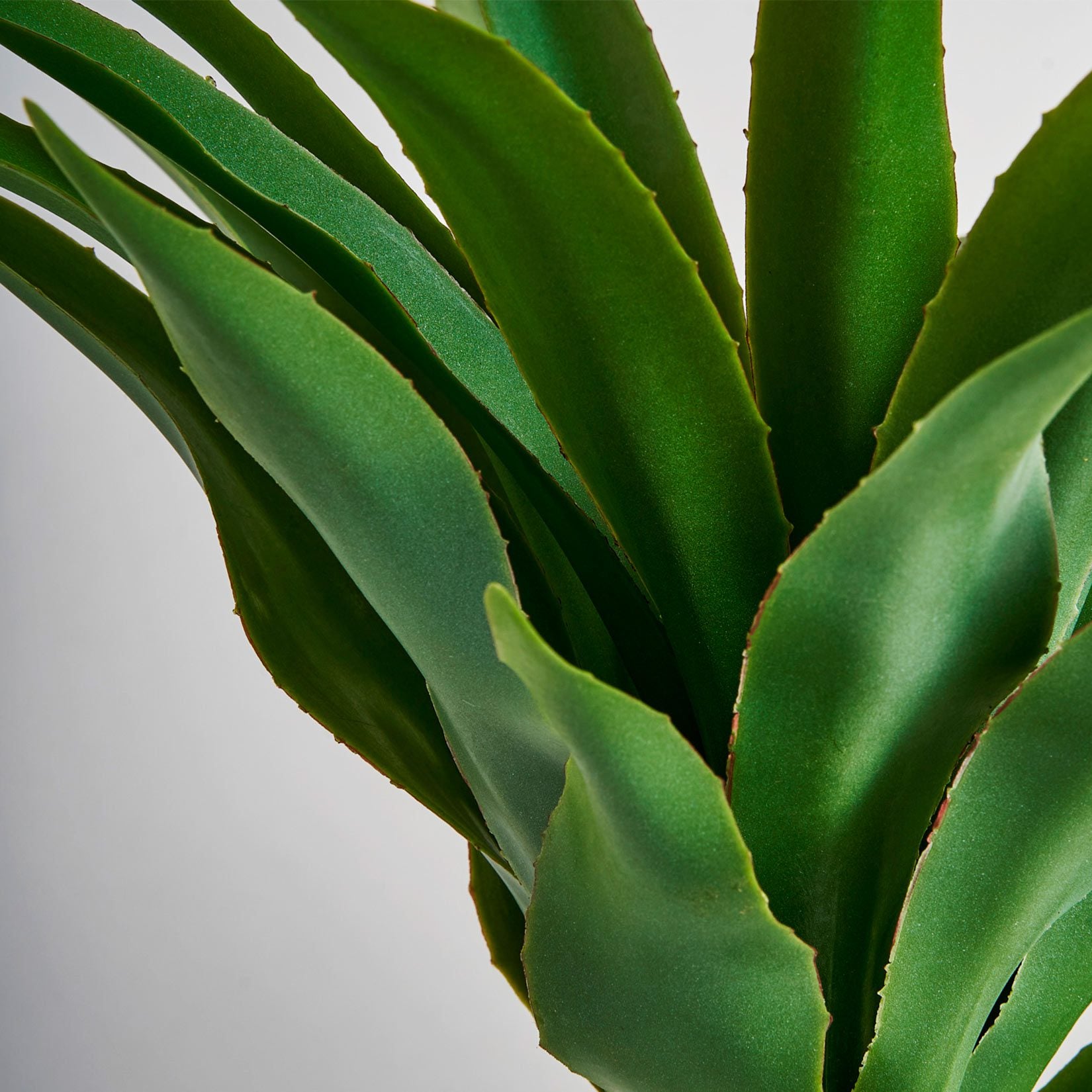 Yucca artificial plant