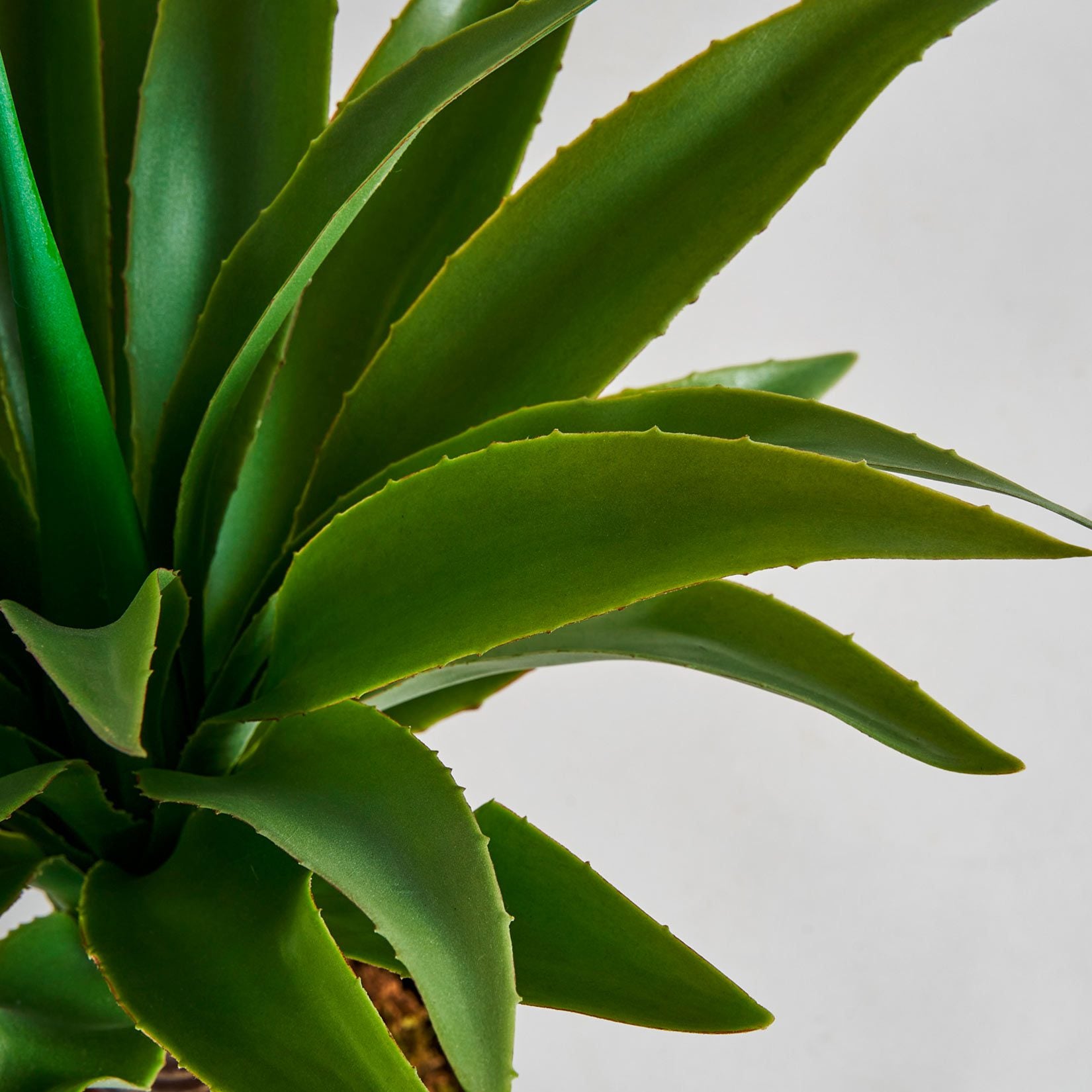 Yucca artificial plant