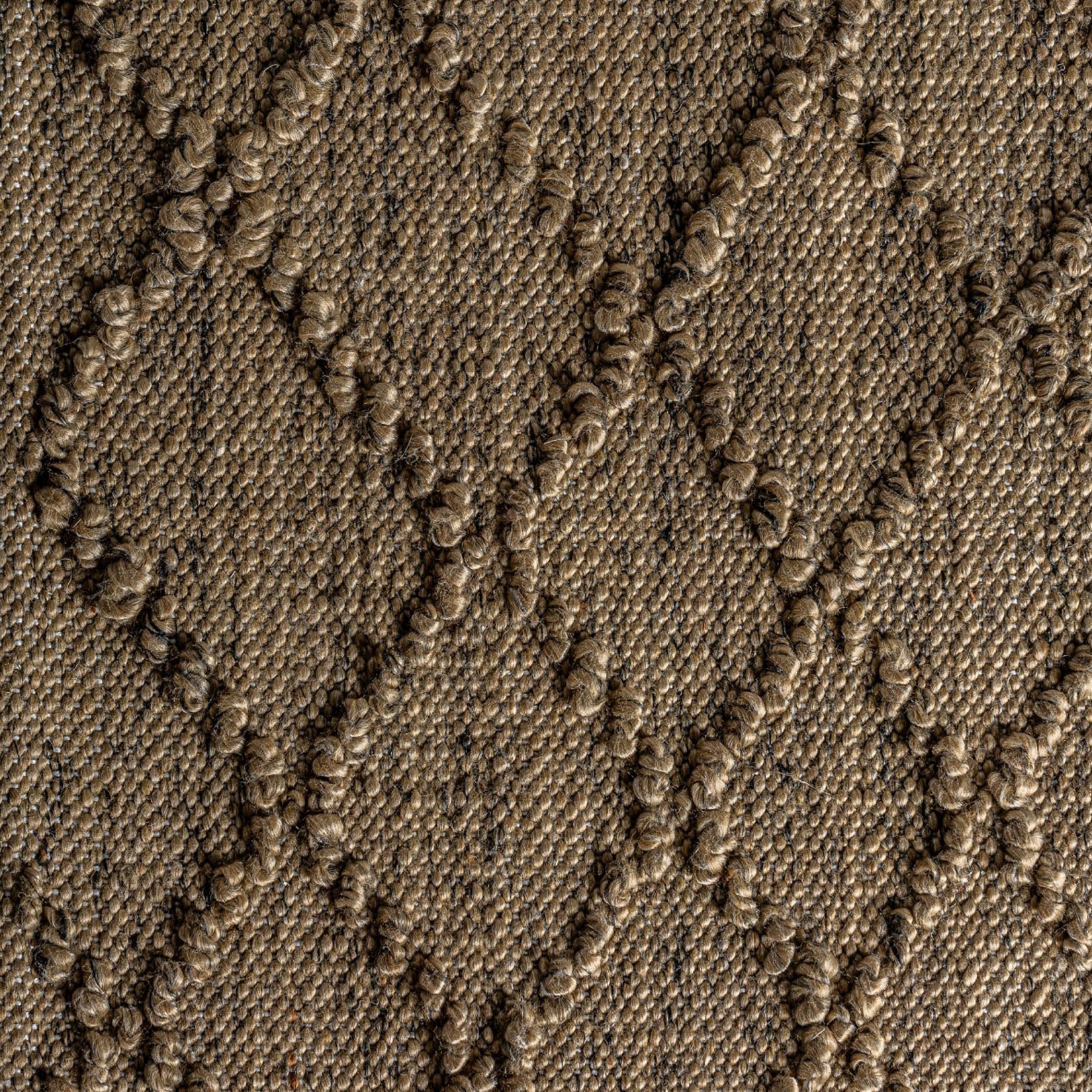 Sasha Rug